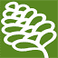 costusgarden.com