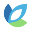 evoluted.net