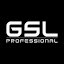 gslprofessional.com