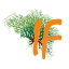 ifbelgique.be