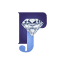 palashjewellers.com
