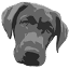 reddogglass.com