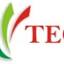 technologymirror.com.ng