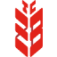 ziraatfx.com.tr