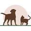 ayersanimalhospital.com