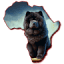 chowchows.za.org