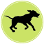 escapadesambgos.cat