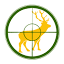 huntmasters.com.ua