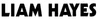 liamhayesandplush.com