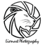 lionart.at