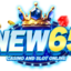 new65.io
