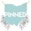 pinnedacupuncture.com