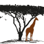 kiotaadventures.co.tz