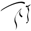 lns-turnierservice.de