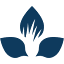 practicalfarmers.org