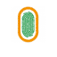 rnpp.ci