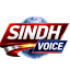 sindhvoice.com
