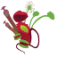 vleesetendeplant.nl