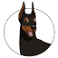 alphapetsuk.com