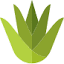 alseedservice.ru