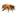 beehoneyportal.com