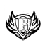 chicagojiujitsu.com