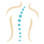chirophysiciansshelby.com