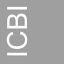 icbi.at