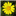 maltawildflowers.com