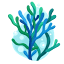 marinebiodiversity.ca