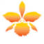 orchidsupplies.com