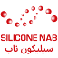 siliconenab.com