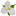 anewstart.ca