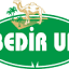 bedirun.com