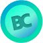 bigcashweb.com