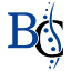 chiropractorinconcord.com