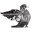 cinlb.org