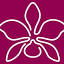festadasflores.com.br