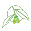herbarium.gov.hk