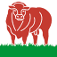 irishlimousin.com