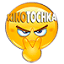 kinovibe.vip