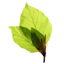navoti-shop.com