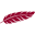 redtailclub.com