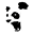 blackpardus.com