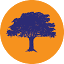 bracguardianbima.com