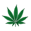 cascade-herb.com