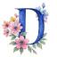 dashaina.com