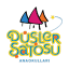duslersatosu.com