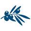 elianj.com