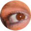 loscruc***demarian.com